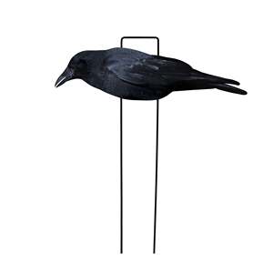Décoys de chasse aux corbeaux en PP entièrement floqués, anti-reflet, imperméables, ultra-réalistes, fabriqués en usine (OEM/ODM) – Silhouettes d'oiseaux pour la chasse - Product Image 2