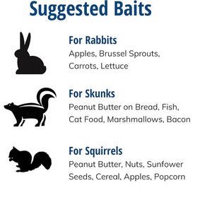 Gấp săn bắn bẫy lồng nhiệm vụ nặng nề nhân Đạo sống động vật lồng bẫy cho sóc chồn và kích thước tương tự động vật gặm nhấm - Product Image 5