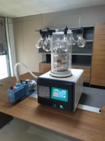 Vacuümdroger Machine Kleine Mini Groot Laboratorium Experimentele Voedsel Vloeibare Vriesdroogapparatuur ZLGJ-10
