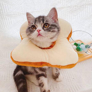 Pet Elizabeth Collar For <b>Cats</b> Anti-Lick Bite After Surgery Cute Neck <b>Ring</b> Dog Soft Recovery Cone Wholesale - Product Image 3