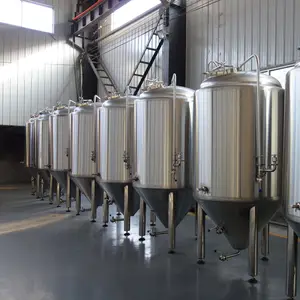 Équipement de bière de chauffage électrique 5bbl