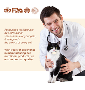 Pet Health Care Supplements 15-in-1Multivitamin Powder Pet Products Top Multivitman For Dogs And Cats Pet Nutrition Vitamin - Product Image 2