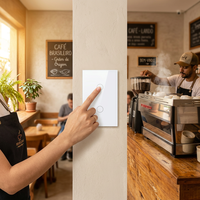 CNSKOU US/AU Wifi Google/Alexa Domotique 10A Tuya Smart Ewelink Interrupteur Mural Tactile Intelligent pour Maison Connectée