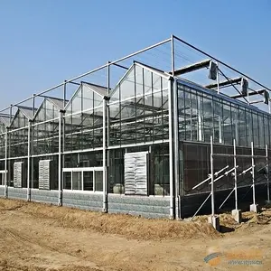マルチスパン農業高トンネル温室鋼フレームガラスカバー材料温室