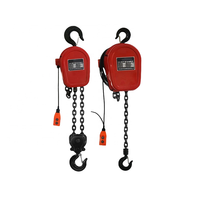 Mini-grue électrique DHS, capacité 1000 kg, treuil à chaîne à levage automatique avec télécommande, tension 220 V, pour garages