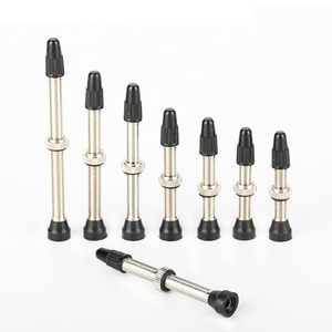 Prix <span class=keywords><strong>Discount</strong></span> 40/60MM vélo Presta Stem Mountain French Vacuum Air buse vélo sans chambre à Air Valve de pneu - Product Image 4