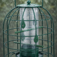 Mangeoire à oiseaux double cage avec tube à graines transparent, plusieurs perchoirs, grande poignée de suspension, plateau de base, décoration de jardin, en fer, écologique