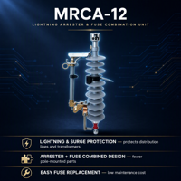 Parafoudre sans intermédiaire à oxyde métallique ZHUOLI MACA-12(Z) 10kA 12kV certifié ISO/CE pour la protection contre les fuites de foudre en distribution