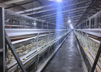 Poulailler préfabriqué en structure métallique, ferme ouverte pour volailles