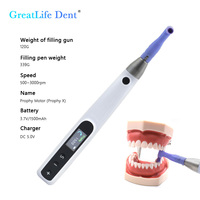 Greatlife Dent - Offre Spéciale : Polisseuse Dentaire Électrique Sans Fil et Appareil de Nettoyage pour Blanchiment des Dents