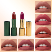 Maquillaje al por Mayor de Alta Calidad OEM, Lápices Labiales Profesionales a Prueba de Agua de Larga Duración, Logotipo Personalizado, Mate, 14 Colores