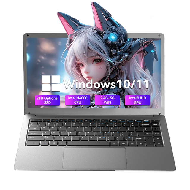 14 Inch Slim Laptop with Windows 10 Intel Celeron N4000 8GB RAM 256GB SSD+HDD IPS Panel Cheap Personal Use Notebook