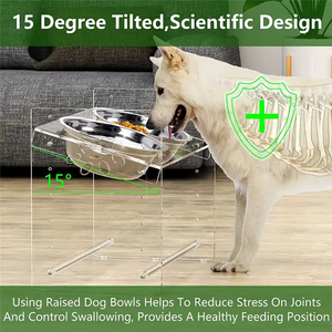 Özelleştirilmiş şeffaf akrilik yükseltilmiş çift evcil hayvan kaseleri ayarlanabilir standı yükseltilmiş eğimli köpek ve kedi besleyici sabun tutucu - Product Image 2