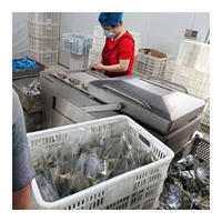 Máquina de Envasado al Vacío de Doble Cámara Comercial de Alta Eficiencia, Selladora al Vacío de Alimentos SUS 304 para Carne, Aves, Mariscos, Fábrica
