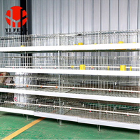 Cage d'élevage de type H, cage à poussins à 4 niveaux avec alimentation et abreuvement automatiques, élimination des excréments pour poussins.