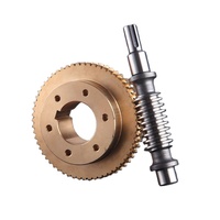 Pièces d'usinage CNC de haute précision laiton Bronze aluminium Double enveloppe ensemble d'engrenages à vis sans fin OEM ODM moteur de composant de base