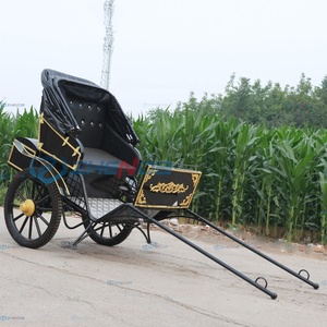 Exquisite 2-Wheel Carved Rickshaw Outdoor Travel Horse <b>Cart</b> and Wedding Carriage Top Sightseeing Carriage New Condition - Product Image 3