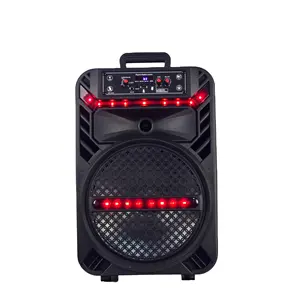 Amazon new 12 inch plastic case portable home theatres systems trolley Portable outdoor amplified speaker with microphone