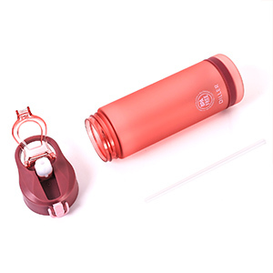 ขวดน้ำพร้อมหลอดดูด 25 ออนซ์ ผลิตจาก Tritan ปลอดสาร BPA ขวดน้ำสำหรับเล่นกีฬาพร้อมฝาปิดแบบพลิก - Product Image 6