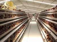Usine de poulaillers QIANQIN, cages à volailles pour 120 à 160 poules pondeuses au Kenya, au Nigéria et au Zimbabwe