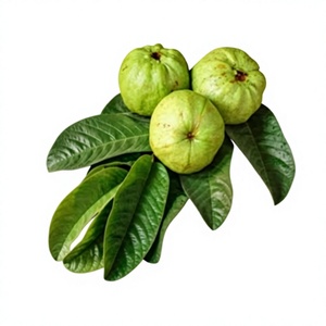 Té de Hoja de Alcachofa Herbal Premium, Secado al Sol, Empaquetado para Regalo, Suministro Directo de Fábrica, Grado Alimenticio, Calidad de Exportación de Vietnam - Product Image 1