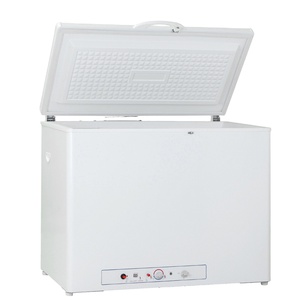 Congelador Horizontal de Gas de Absorción de Amoníaco R717 de 165 l, 2 Vías, Dsg-160b1 - Product Image 1