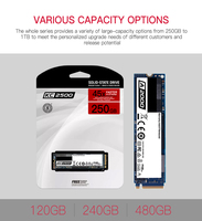 SSD Eksternal E680 Kecepatan Tinggi Harga Terjangkau Opsional 128GB/480GB/256GB/512GB/1TB Laptop Desktop M.2 2280 NVME PCIe3.0 SATA Plastik