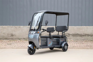 Triciclo Eléctrico de 48v 60v con Carrocería Abierta, Tres Asientos Ajustables para Uso Doméstico, Vehículo Pequeño de Pedales para Dos Personas - Product Image 6