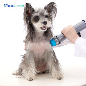 Medizinische Stoßwellen physiotherapie Tiers toß wellen maschine zur Schmerz linderung Pferde behandlung - Product Image 2