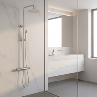 Mitigeur de douche thermostatique en acier inoxydable, robinet de douche apparent européen pour salle de bain