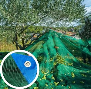Olive Collect <strong>Net</strong> HDPE Olive Harvest Netting for Olives Agriculture <strong>Nets</strong> - Product Image 4