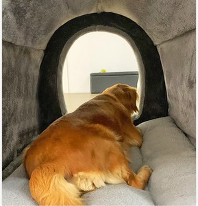 Tente <span class=keywords><strong>Tipi</strong></span> pour Animaux de Compagnie avec Tapis, Lit pour Chat, Tente Portable pour <span class=keywords><strong>Chien</strong></span>, Maison pour Animaux de Compagnie, Lit pour Grands Chiens - Vente Chaude - Product Image 6