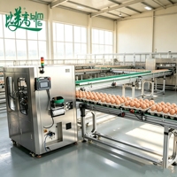 Ligne d'intégration d'inspection visuelle en ligne pour étiquettes de cartons d'œufs, pour la détection de présence/position/lisibleurabilité des étiquettes avec une visibilité à 360° complète °   Inspection