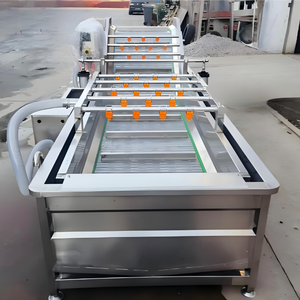 Nettoyeur de fruits et légumes Ruifei : <span class=keywords><strong>Ananas</strong></span>, Orange, Mangue, Ail, Pomme, <span class=keywords><strong>Tomate</strong></span>, Pommes de terre – Ligne de nettoyage similaire aux icônes - Product Image 6