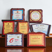 Plaque en bois personnalisée de haute qualité, écologique, créative, certificat de récompense, médaille, cadeau d'entreprise