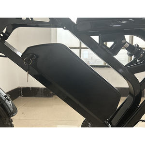 Vélo à pneus larges de 20 pouces, design personnalisé, moteur à disque mécanique 250W/48V/12Ah - Product Image 5