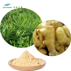 식품 등급 생강 뿌리 추출물 생강 추출물 Zingiber officinale 5% 10% 진저롤 HPLC - Product Image 1