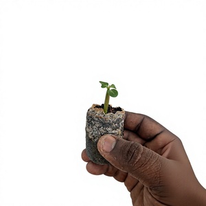 Bloc de démarrage pour semis en fibre de coco premium, disque de culture biodégradable compressé à haute rétention d'eau, engrais agricole - Product Image 1