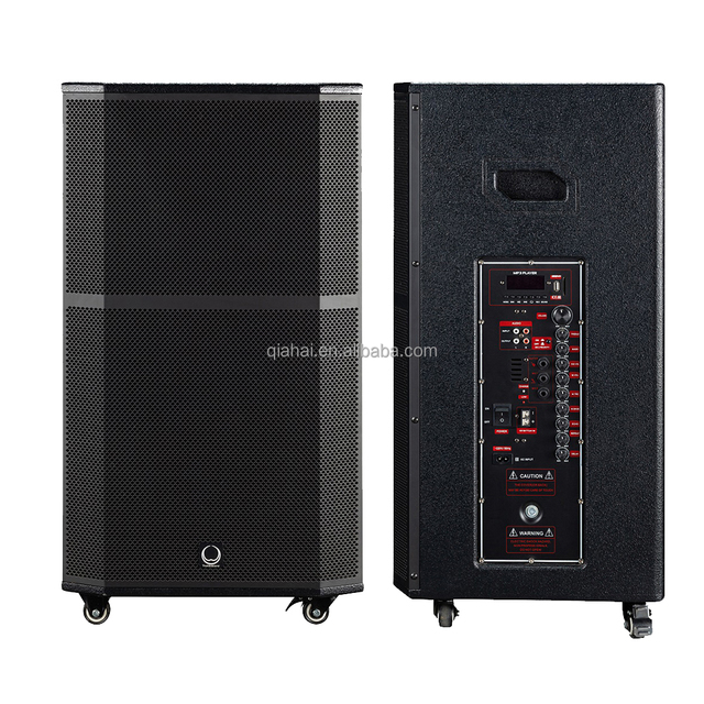 T15 Active 15-Inch Portable Woofer Speaker Box 500W RMS Plywood for Outdoor Concerts & Parties