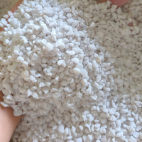 Perlite blanche de qualité supérieure, légère, respirante, stable et isolante, en gros, sac de sécurité pour plantes d'intérieur/extérieur, terreau de jardin
