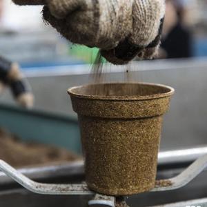 Pots <span class=keywords><strong>de</strong></span> cultivateur durables <span class=keywords><strong>de</strong></span> haute qualité <span class=keywords><strong>de</strong></span> 8cm faits <span class=keywords><strong>de</strong></span> <span class=keywords><strong>marc</strong></span> <span class=keywords><strong>de</strong></span> <span class=keywords><strong>café</strong></span> Jardinière écologique Pots <span class=keywords><strong>de</strong></span> plantation biodégradables Pots <span class=keywords><strong>de</strong></span> cultivateur - Product Image 4