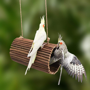 Décoration d'intérieur : Balançoire suspendue pour oiseaux, grottes d'arbre en bois de pomme naturel, corde en coton, boule en rotin, ornement pour calopsites et canaris - Product Image 1