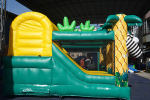 Castello Gonfiabile a Tema Zoo con Foresta Verde per Bambini, Fornitore Cinese - Product Image 4
