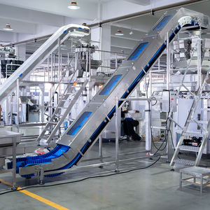 LINPACK Industrie alimentaire Système de bande transporteuse de levage automatique en PVC incliné de qualité alimentaire pour granulés solides - Product Image 2