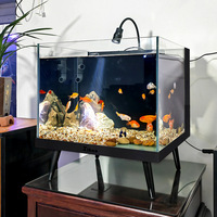 Petit aquarium rectangulaire en verre avec design facile à nettoyer pour poissons Betta et Guppy, décoration de salon ou de bureau