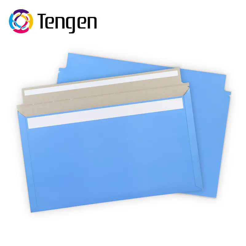 Tengen yeni ürün biyobozunur baskılı açık mavi sert ambalaj Mailer karton zarf