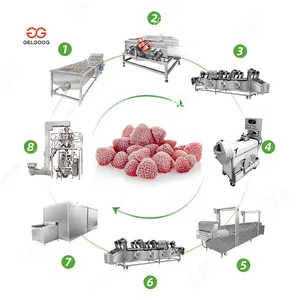 Hoge Kwaliteit Vriesapparatuur Industriële Productie Cryogene Fruit Flash Aardbei Tunnel Snelvriezer Machine