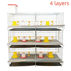 Sistema Automático de Jaulas Galvanizadas para Codornices, para una Cría de Aves de Corral Eficiente y una Alta Producción de Huevos - Product Image 1