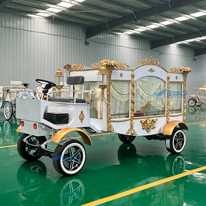 Carroza Fúnebre de Lujo de Acero, de Alta Calidad, OEM, con Tracción por Caballos/Eléctrica, para Venta, Carroza para Ataúdes - Product Image 2