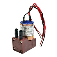 Pompa Tinta Kecil 3W (3w-24v) untuk Printhead Printer Tx800 Xp600, Pompa Tinta DTF untuk Tinta Eco Solvent DTF